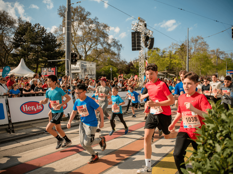 34 VCM MARATHON Vienna AUSTRIA OSTERREICH WIEN SPORT star shaped