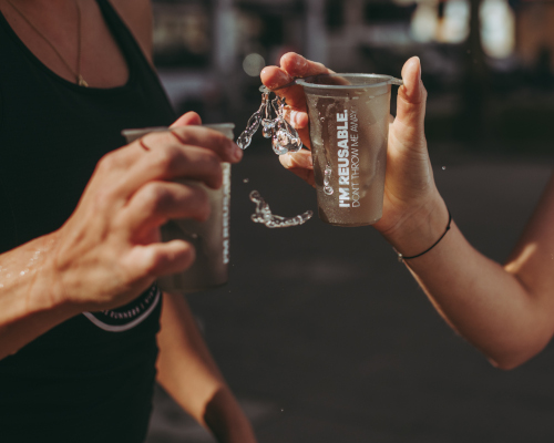 Bild: Niklas Stadler_www.niklasstadler.at