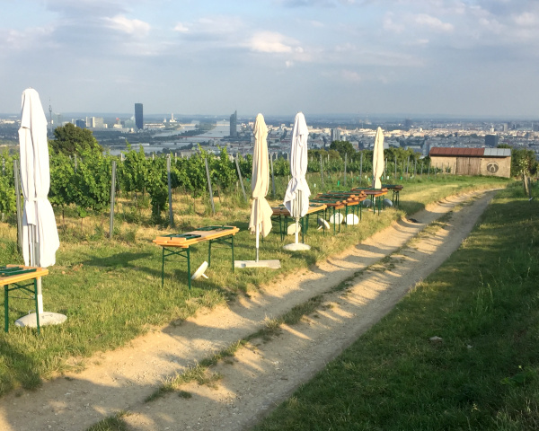 Ziel des VCM Pop-up-Runs bei der Buschenschank Monte Nucum