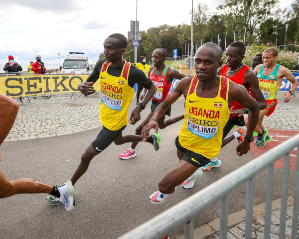Vienna City Marathon Service