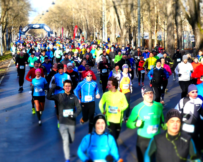 Vienna City Marathon - Startseite