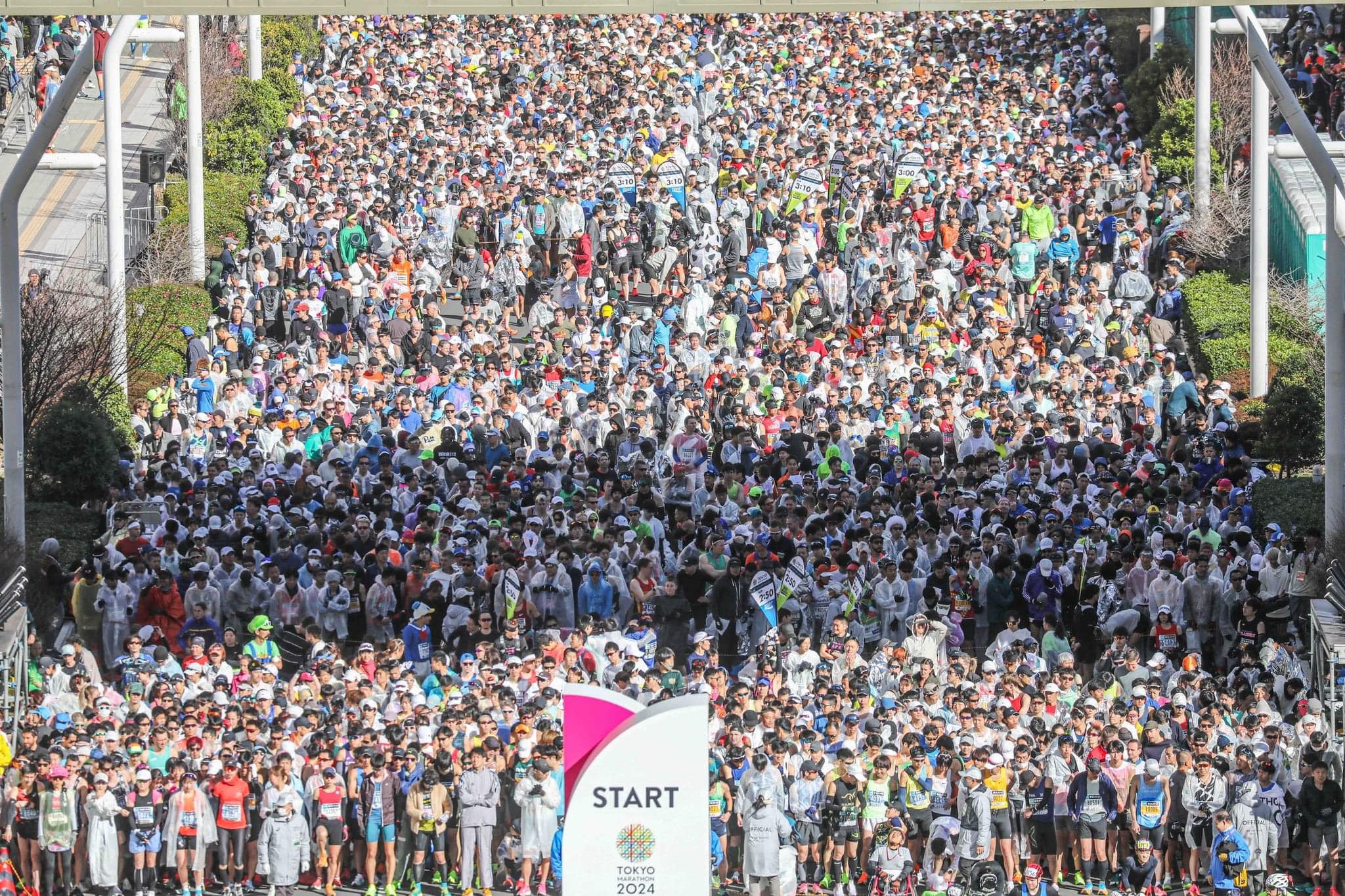 Tokyo Marathon Foundation